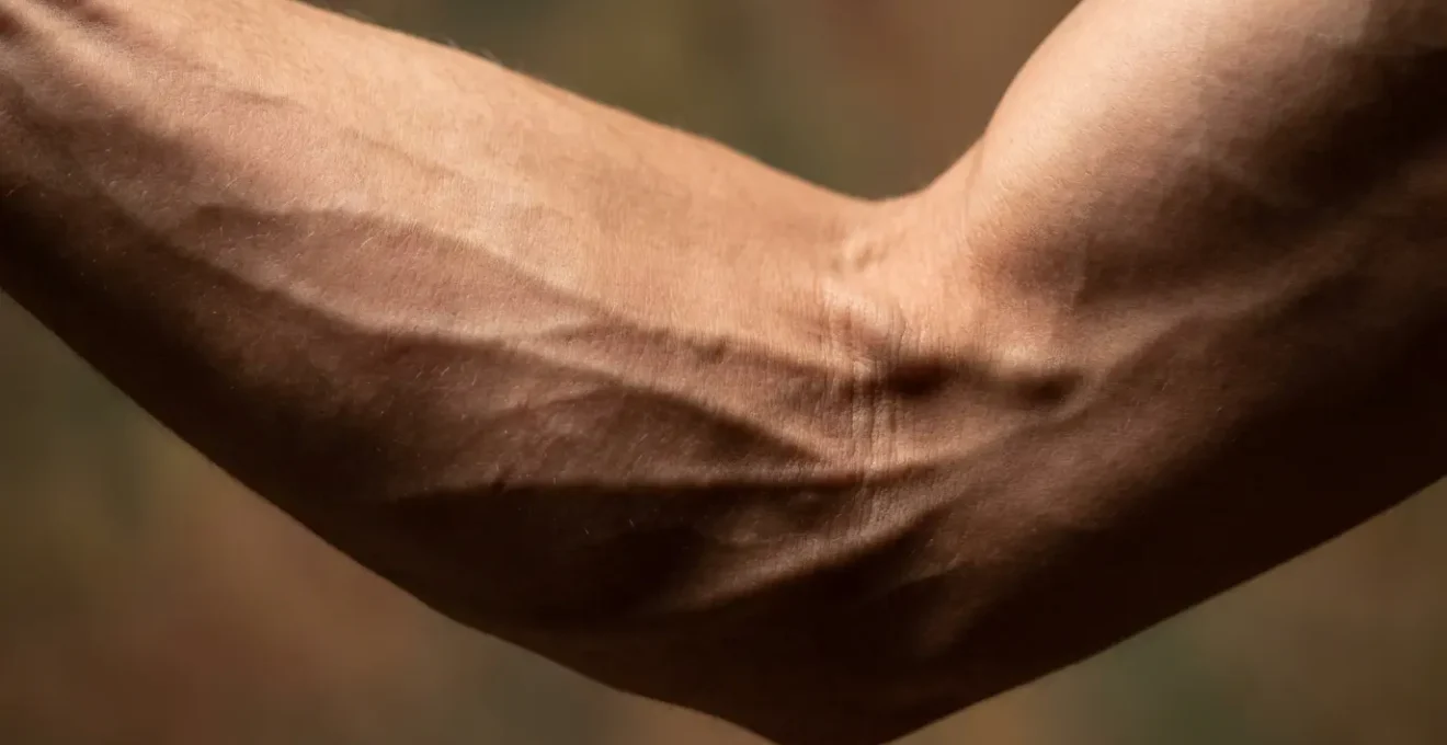 Extreme close-up of muscle fibers under tension showing proper alignment